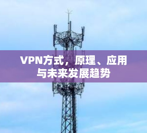 VPN方式，原理、应用与未来发展趋势
